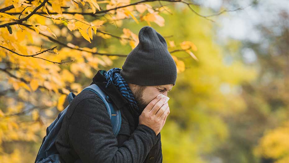 Fall Allergies image